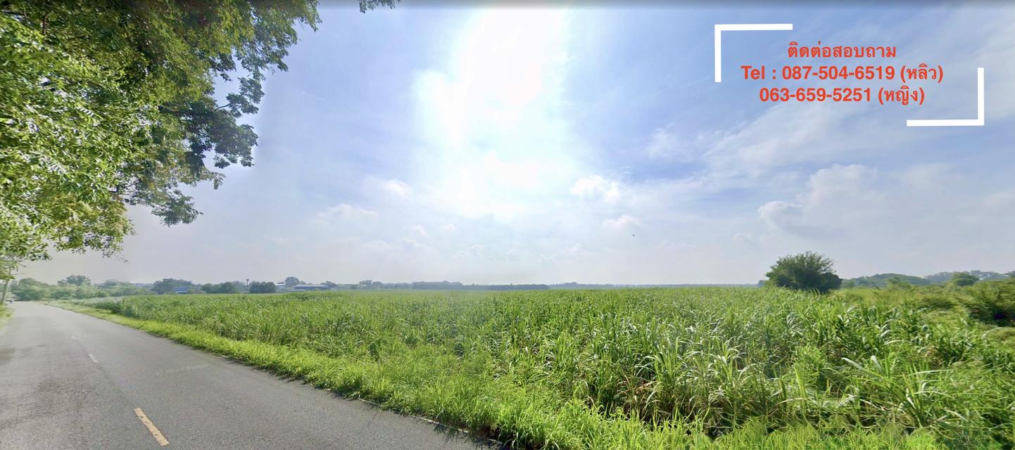 ที่ดินบ้านบึง ทำเลโครตจึ้ง ใกล้ถนน 331 ชลบุรี 2