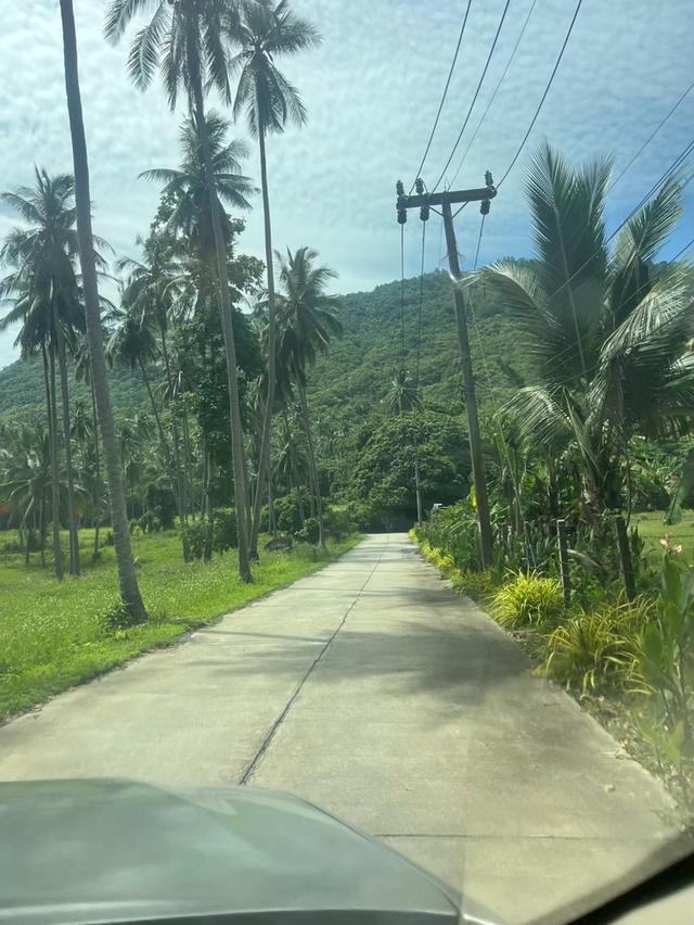 ขายที่ดินวิวทะเล ทำเลทอง เกาะสมุย 19