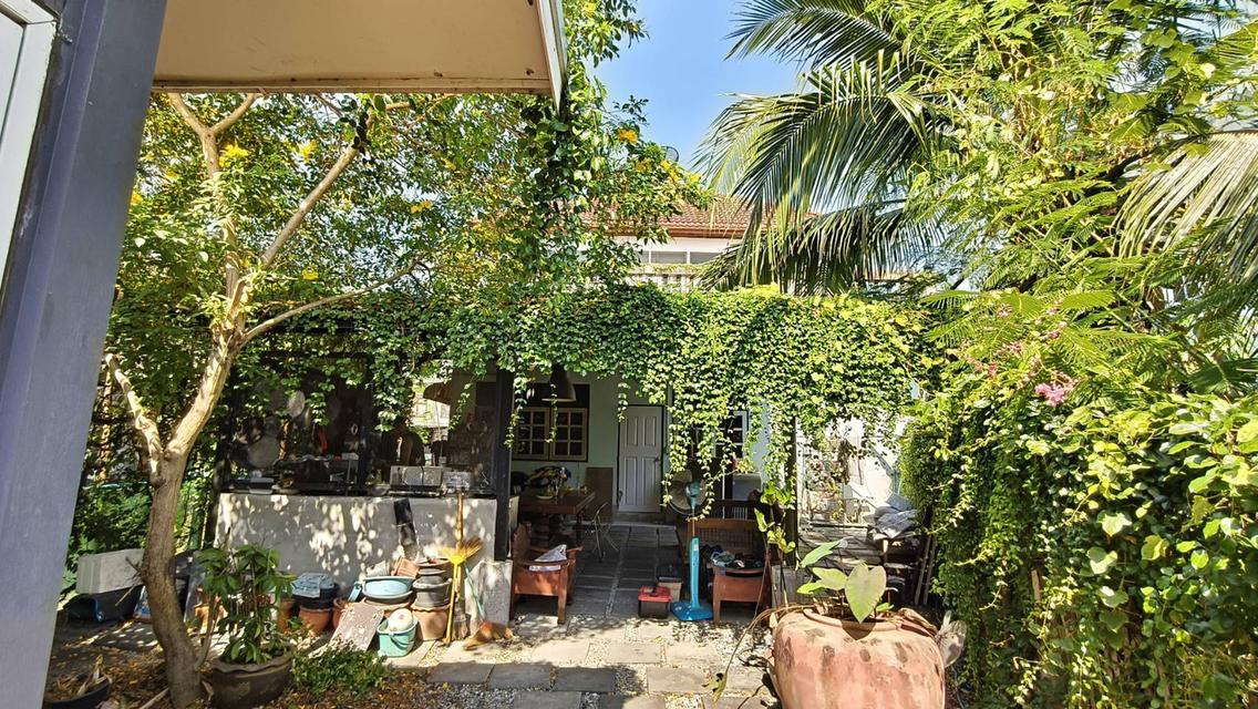 บ้านเดี่ยวพร้อมที่ดิน อ.เมือง จ.สมุทรปราการ ติดถนน มีรถเมย์วิ่งผ่าน 14