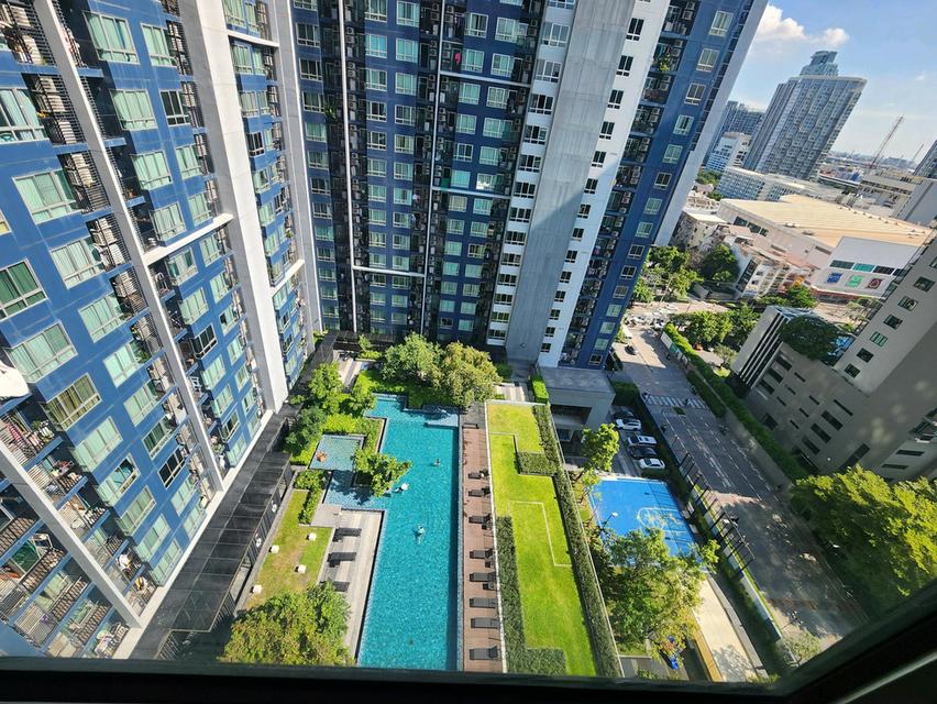 ปล่อยเช่าห้องมุม วิวปังที่สุดในโครงการ The Base Sukhumvit 77 (เดอะ เบส อ่อนนุช) 30ตรม. 1นอน1รับแขก เพียง 15k 19