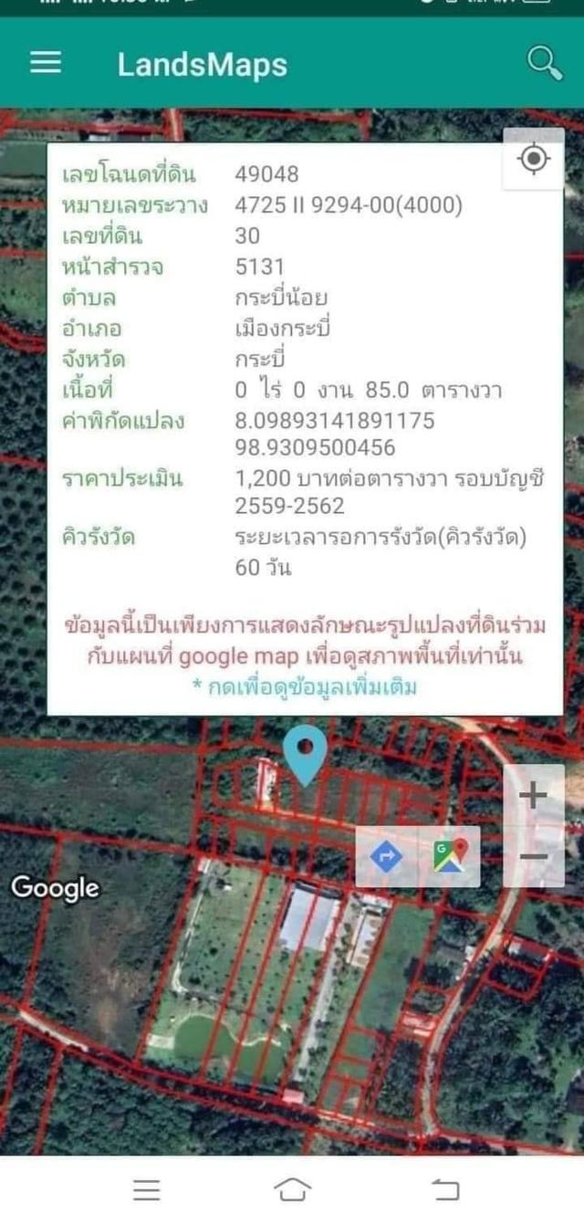 ขายที่ดิน 2