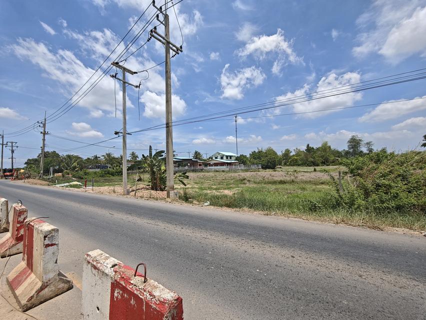 ขายที่ดิน2ไร่ นครนายก 5