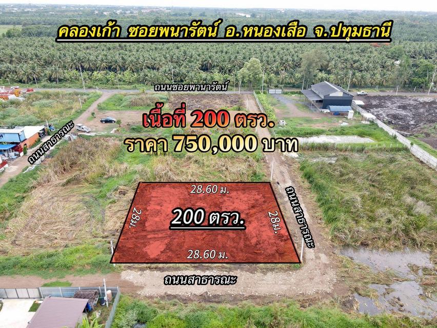 ที่ดินแปลงเล็ก เหมาะทำบ้านพัก ซ.พนารัตน์คลอง 9 อ.หนองเสือ จ.ปทุมธานี 1