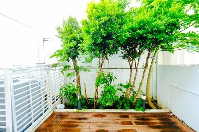 ถูกสุดในโครงการ จัดเต็มเฟอร์ฯ 3 นอน MRT มัยลาภ เลียบด่วนเอกมัย รามอินทรา เดอะวอล์ค เกษตร-นวมินทร์ 800 ม. ให้เช่าทาวน์โฮม 8