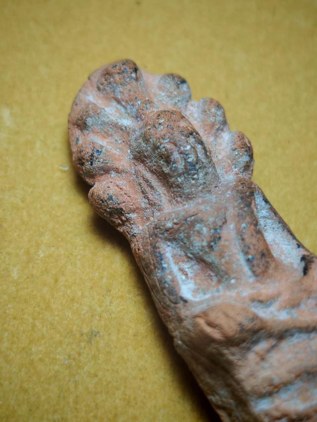 พระเนื้อดิน​ พิมพ์นาคปรก 7