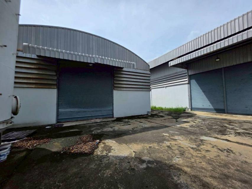ขาย โรงงานพร้อมที่ดิน  7-1-50 ไร่ บางนา กม.19 ผังสีม่วง ใกล้ทางด่วน 5