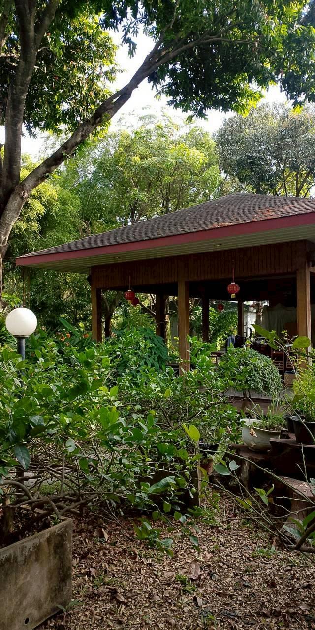 ที่ดินและสิ่งปลูกสร้างในที่ดิน 3