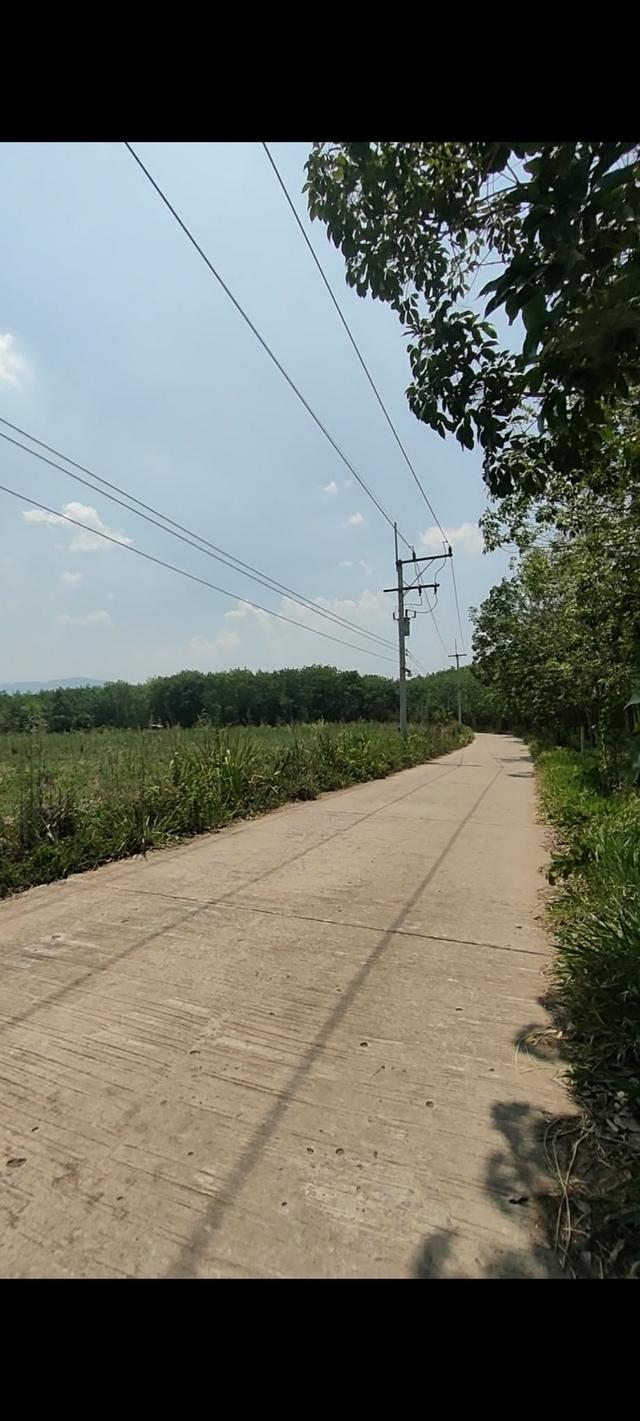 ต้องการแบ่งขาย 5 ไร่คะ ไร่ละ 350,000 เป็นที่มีโฉนดอยู่ด้านหลัง อบต. ห่างจาก อบต.ปลาบ่า 500 เมตร มีน้ำประปา และไฟฟ้า ถนนคอนกรีต ค่าโอนคนละครึ่ง ด้า 5