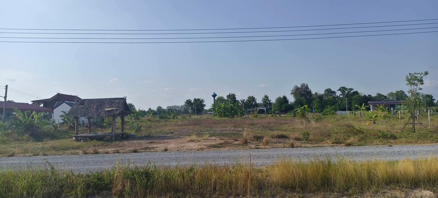 ที่ดิน อำเภอหนองหญ้าไซ สุพรรณบุรี 3