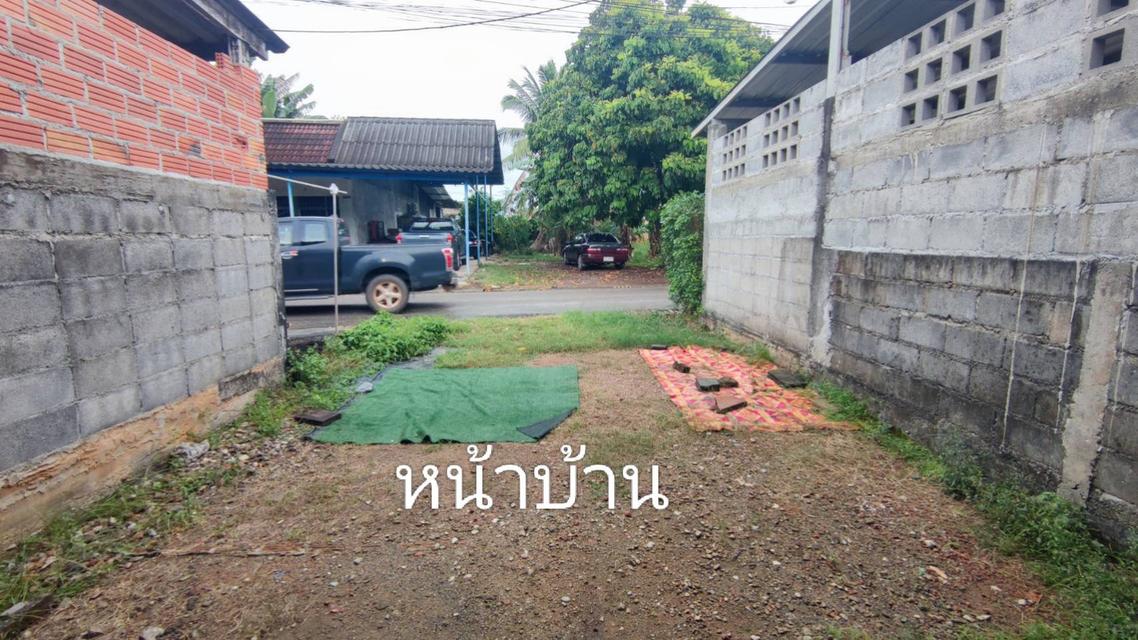 ที่ดินพร้อมสิ่งปลูกสร้าง จ. ตรัง 2