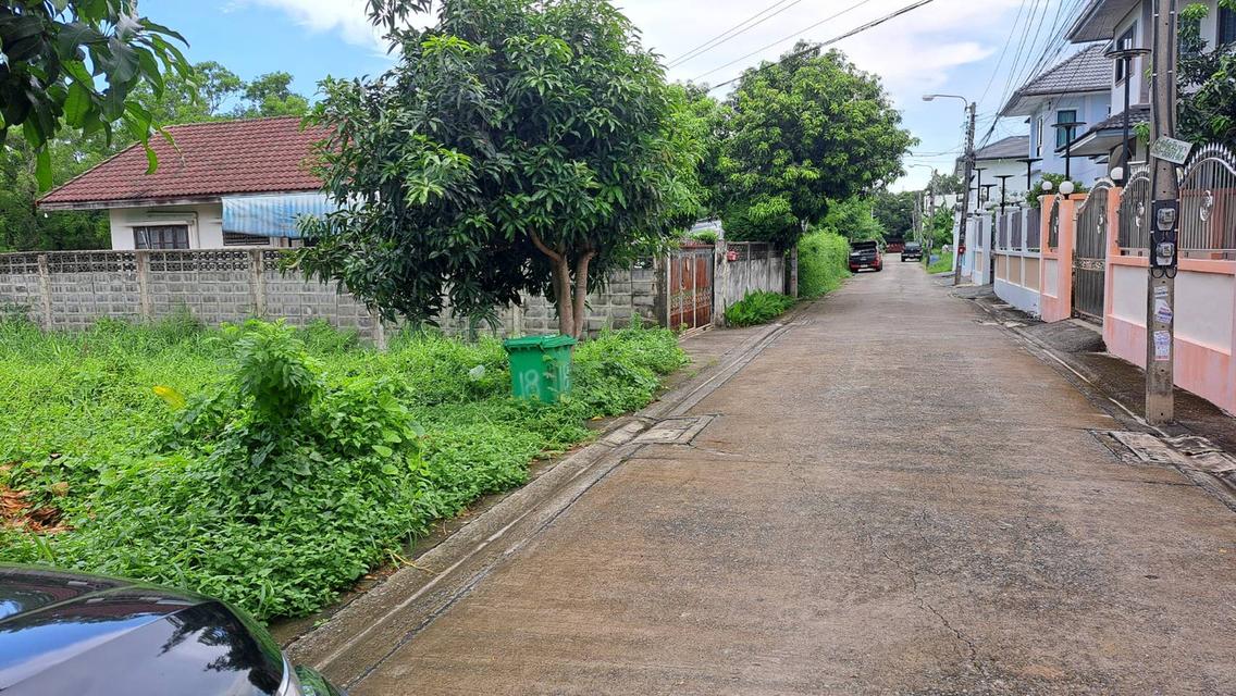 🔥 ขายด่วน! ที่ดินสวย 61 ตร.ว. ซอยคู้บอน 31 (แยก 3) แปลงสี่เหลี่ยม ใกล้รถไฟฟ้า เหมาะปลูกบ้านหรือเก็งกำไร