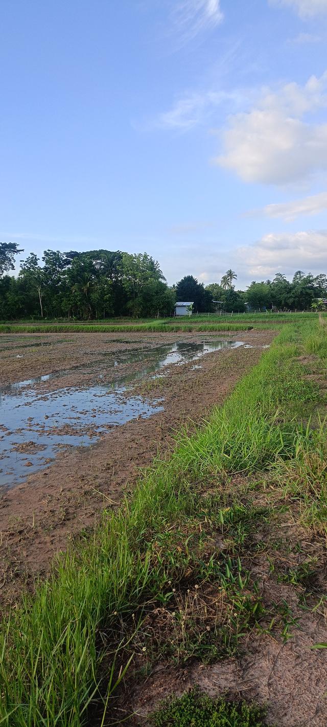 ที่ดินเมาะกับการลงทุน 8