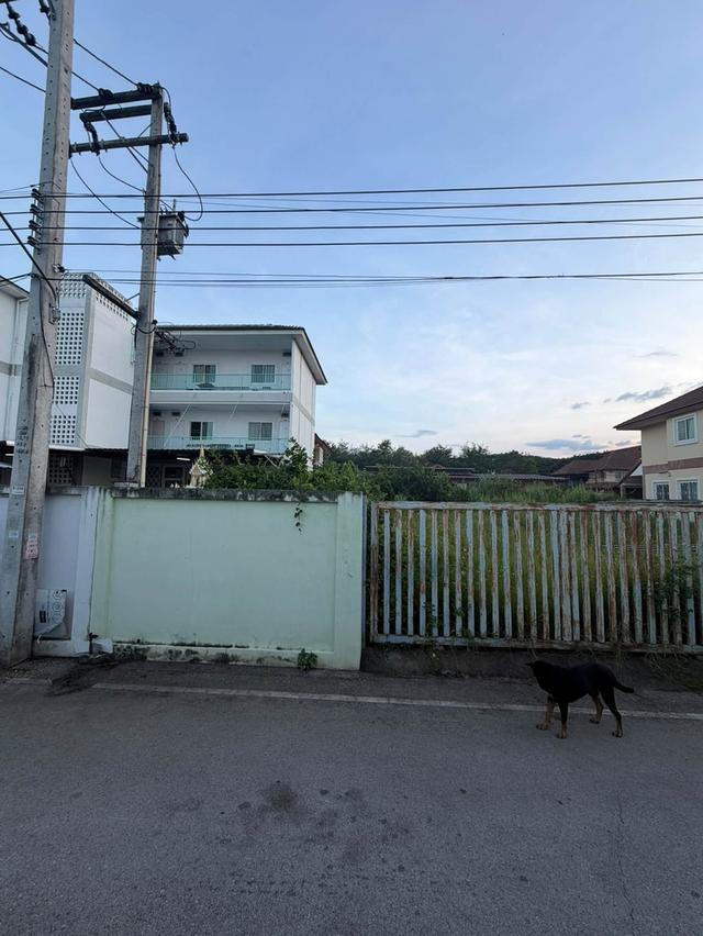 ที่ดินแปลงสวย ตำบลแม่เหียะ อำเภอเมืองเชียงใหม่ จังหวัดเชียงใหม่ 2
