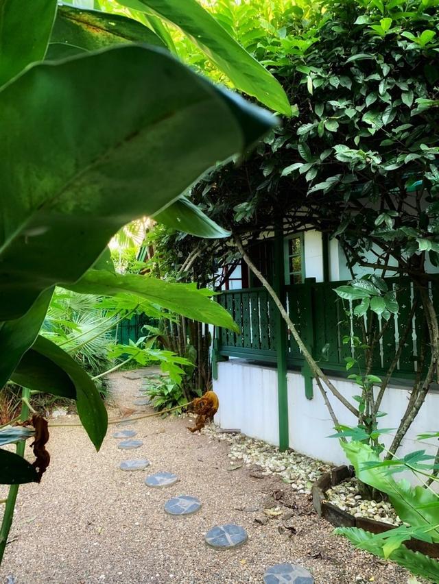 บ้านชั้นเดียวสไตล์รีสอร์ท บรรยากาศร่มรื่น ใกล้เมืองเชียงใหม่ 20