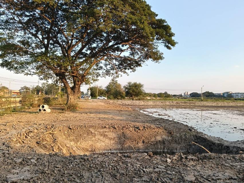 ขายที่ดิน 2 แปลง บางบัวทอง ติดหมู่บ้านเมืองทองธานี 1