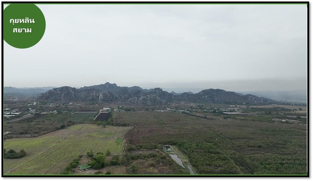 ขายที่ดินพร้อมสิ่งปลูกสร้าง 7