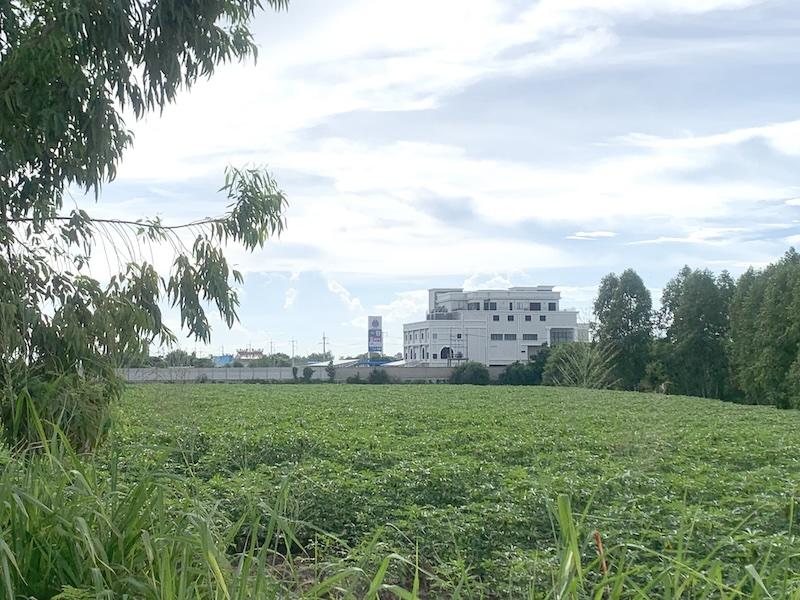 ขายที่ดินใกล้ถนนข้าวหลาม 16 ไร่ ติดทาง 2ด้าน ตรงข้ามโรงเรียนสารสาสน์วิเทศบูรพา ที่ดินเข้า-ออกได้หลายทาง 7