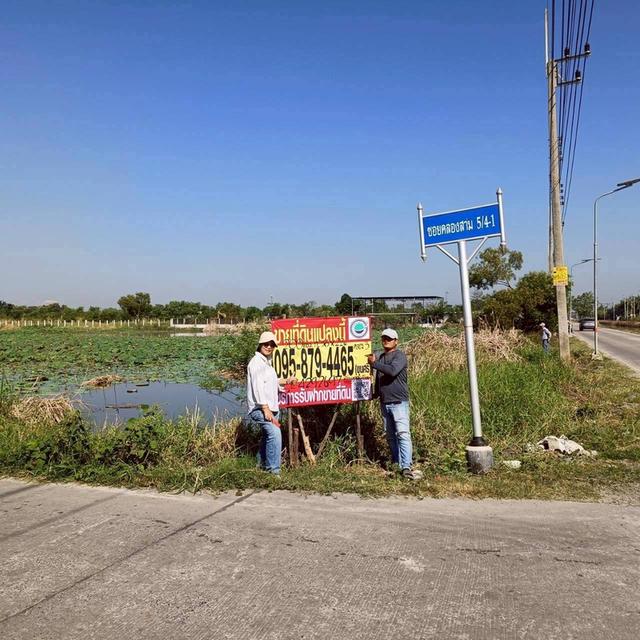 Vายที่ดินซอยวัดป่าห้าพระองค์ 200 ตารางวา แปลงมุม ติดถนนคลองเเอนคลองสาม 5/4-1 อ.คลองหลวง จ.ปทุมธานี 1