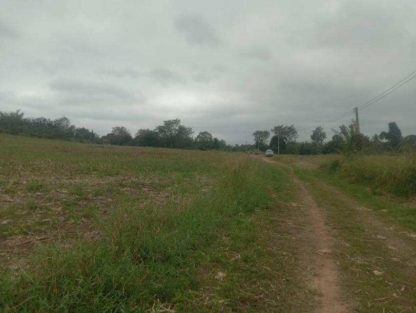 ที่ดินเปล่า 20 ไร่ๆละ 5 แสน แบ่งขายได้ คลองสอง วังน้ำเขียว 1