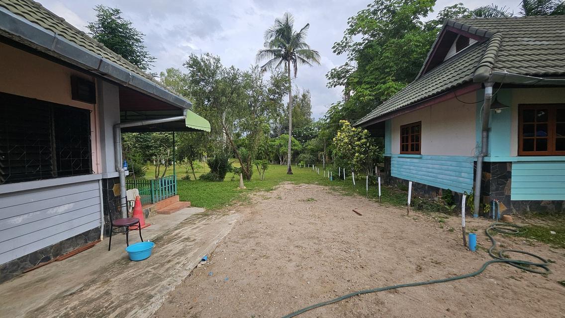 ขายที่ดินที่ดิน ต.หนองควาย พื้นที่ 2-1-83ตรว 22.6 ล้าน 7
