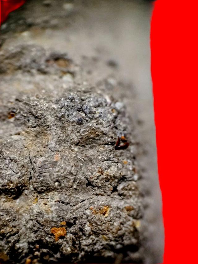 หลวงปู่ทวดเนื้อว่าน 2497