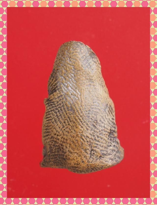p64.ฤาษี พระเครื่อง 2