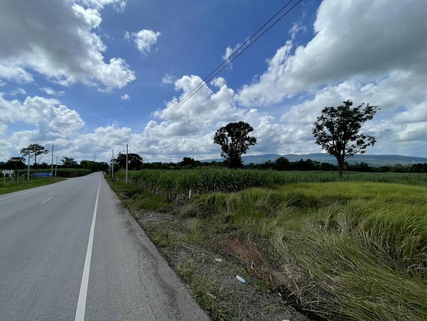 ที่ดินติดถนน เส้นบ้านไทรงามมุ่งหน้าอำเภอคอนสวรรค์ ที่ดินอยู่ในเขตอำเภอเมืองชัยภูมิ โทร 0939694146 7