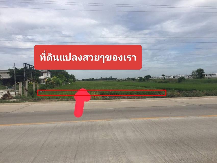 ขายด่วนที่ดินเปล่า 12ไร่1งาน28ตรว. คลอง6บึงคำพร้อย