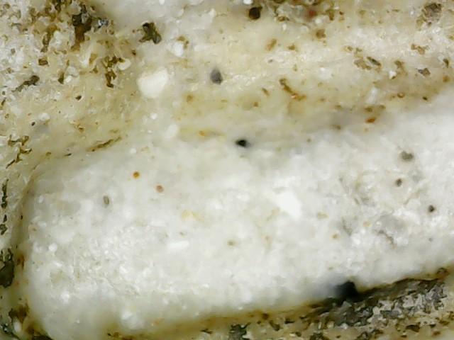 พระสมเด็จวัดระฆัง พิมพ์ใหญ่ เกศทะลุซุ้ม 4