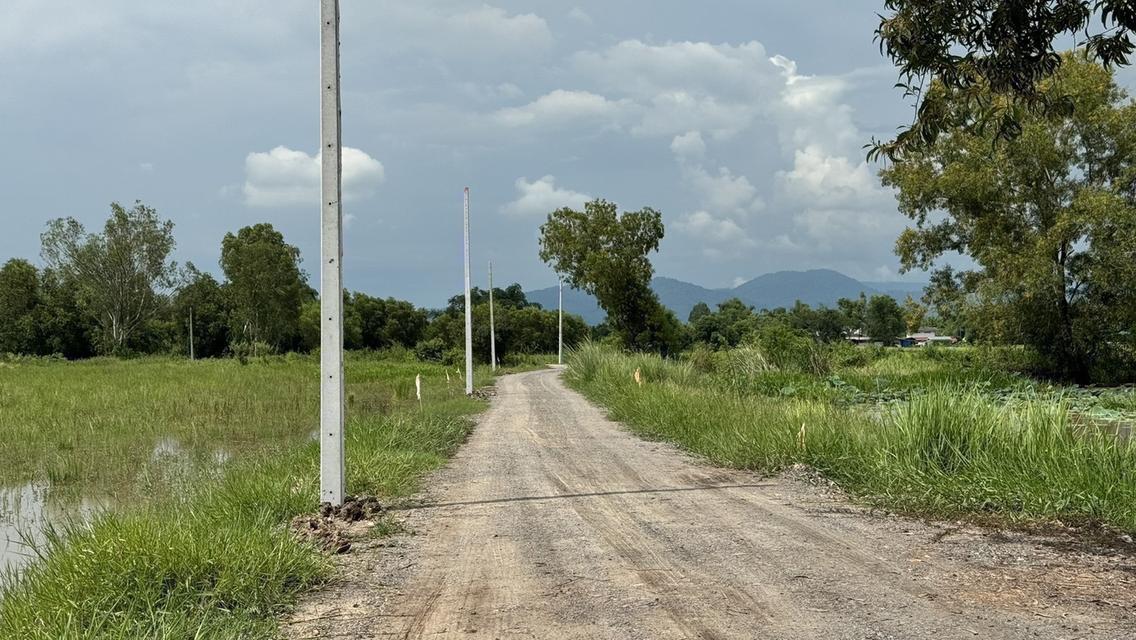ที่ดินบ้านสวนวิวทุ่งนา ใกล้ถนนรังสิต–นครนายก เพียง 1 กม. เหลือ 2 แปลงสุดท้าย 19