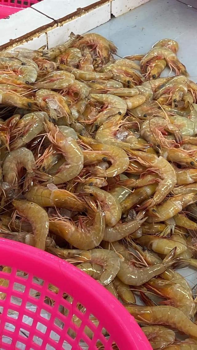 กุ้งแช่บ๊วย สดๆ ใหม่ๆ 2