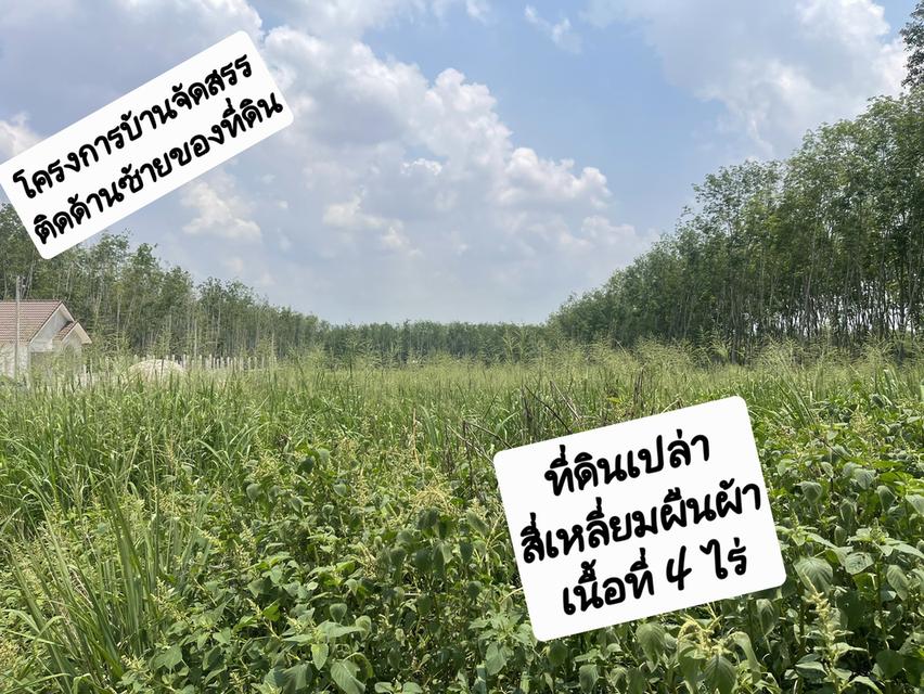 ขายที่ดินเปล่า 4