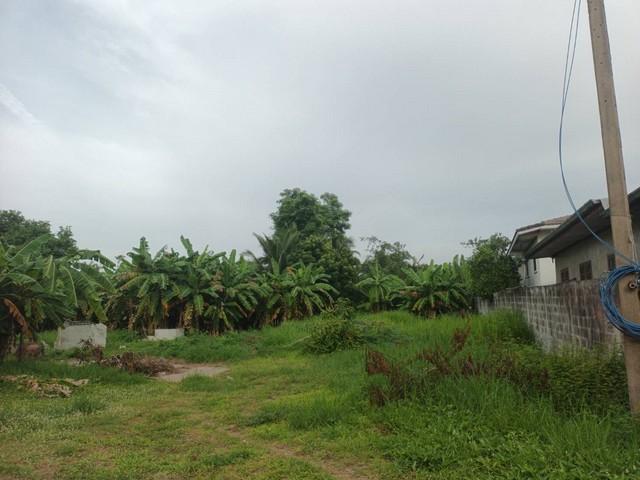 ขายที่ดินสวย 1 ไร่ 1 งาน 70 ตร.ว. @สูงเนิน จ.นครราชสีมา หมาะสร้างบ้าน รีสอร์ต โกดัง หรือทำเกษตร บรรยากาศดีมาก! 4