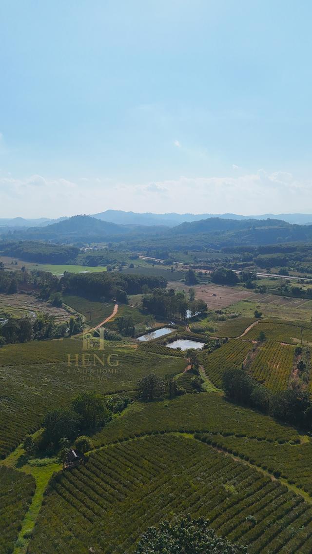 ที่ดินวิวภูเขา 88 ไร่ ติดถนนใหญ่ ทำเลอนาคตไกล แม่จัน  โอกาสพัฒนาได้หลายรูปแบบ!” 3