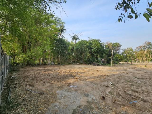 ขายที่ดินหนองขามเนื้อที่ 7 ไร่ ซอยเขาตะแบก-มาบบอน ใกล้นิคมปิ่นทองและถนน331-2กม. อ.ศรีราชา ชลบุรี 3