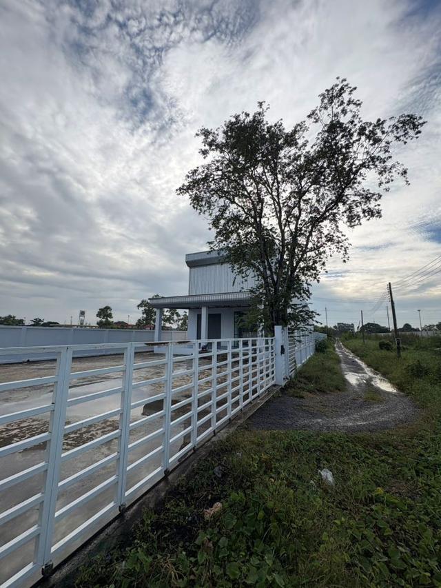 ขายที่ดินถมแล้ว 2 แปลงติดกัน พร้อมโฉนด คลอง 5 ธัญบุรี 2 งาน 80 ตรว. เข้าออกได้ 2 ทาง ใกล้มอเตอร์เวย์ ฟรีโอน 9