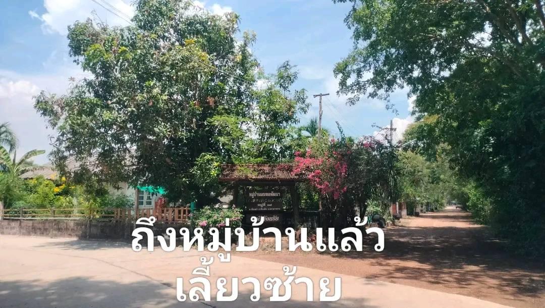 ขายที่ดินหมู่บ้านมณฑพัฒนา อ.เชียงยืน จ.มหาสารคาม 4