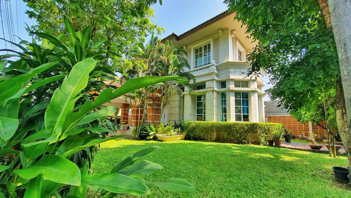 รูป ขายบ้านเดี่ยว 112 วา The City  ปิ่นเกล้า -สาย 2  1