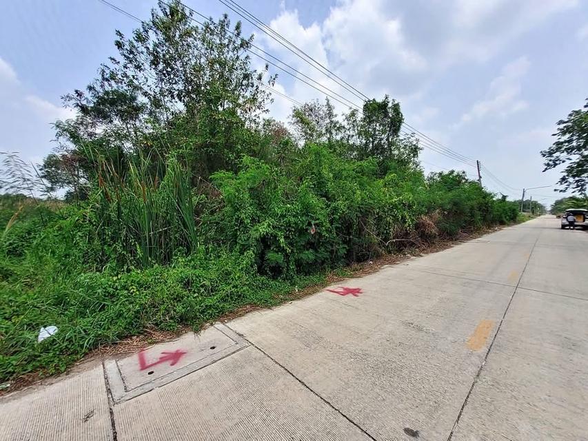 ขายถูกที่ดินคลองหก 2 ไร่ 2 งาน ติดถนนคอนกรีตสาธารณะ ซอย คลองหก ตต.31 อ.คลองหลวง จ.ปทุมธานี 3