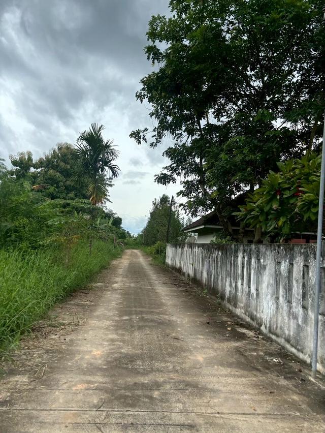 ที่ดินเปล่า ย่านชุมชน ใกล้เมือง เข้าออกสะดวกหลายทาง บรรยากาศดี เหมาะแก่การทำเกษตร บ้านจัดสรร รีสอรท์ ศูนย์ปฏิบัติธรรม 6