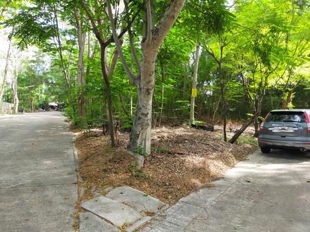 ขายที่ดินจัดสรร ราคาถูก ม.กรีนนิชชาเล่ต์ ซ.บรมราชชนนี 62/6 ติดถนนบรมราชชนนี เขตทวีวัฒนา กรุงเทพ 10170 2