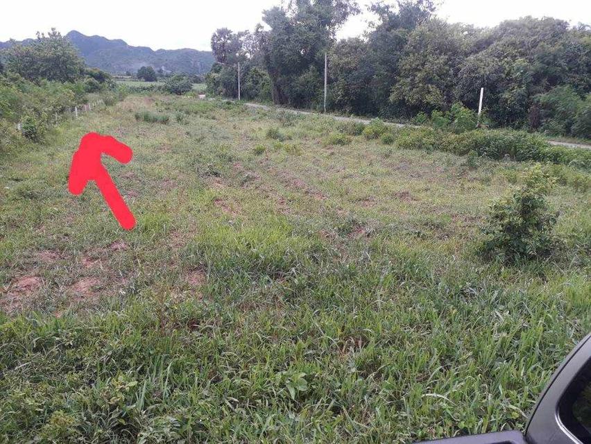 ที่ดิน 2ไร่ 43ตรว. จ.กาญจนบุรี 5