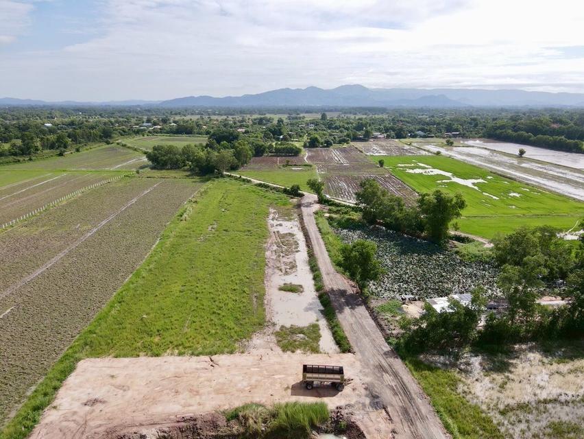 ที่ดินเงินสด ต.อาษา อ.บ้านนา จ.นครนายก 9