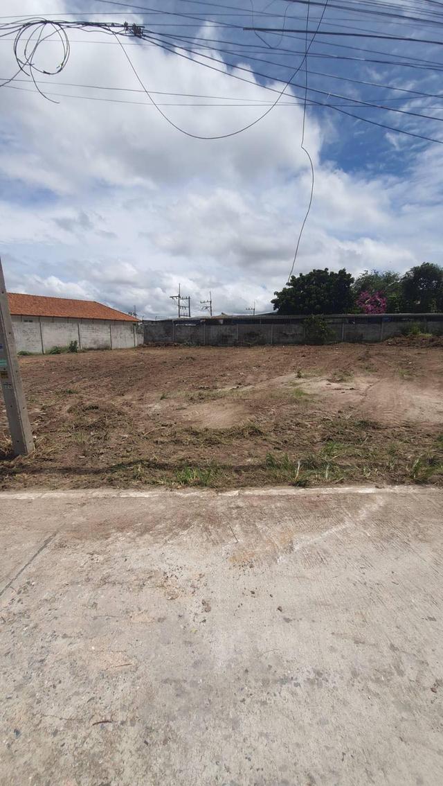 ขายที่ดินหนองปรือ พัทยา 224 ตรว. ถมแล้วซอยเขาตาโล11 ใกล้หาดจอมเทียน7กม. อ.บางละมุง ชลบุรี 5