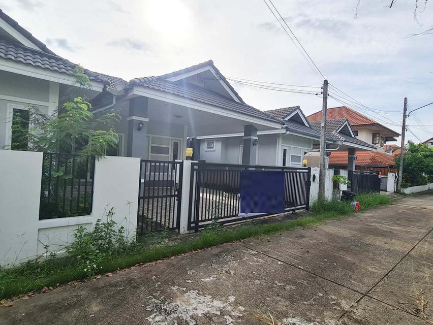 🏠💫 บ้านเดี่ยวชั้นเดียวให้เช่า ใหม่ น่าอยู่ พร้อมเข้าอยู่ทันที 8