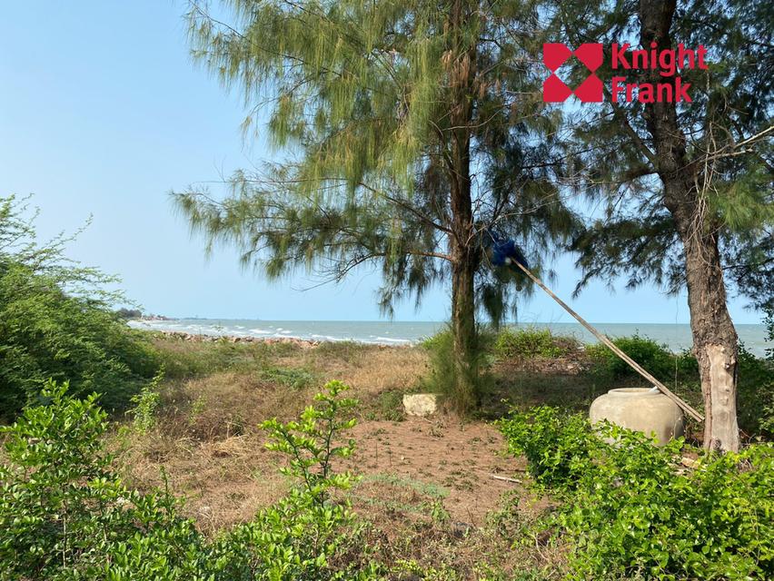 ขายที่ดิน ติดหาดปึกเตียน และติดทะเล เนื้อที่ 13 ไร่ จังหวัดเพชรบุรี 7