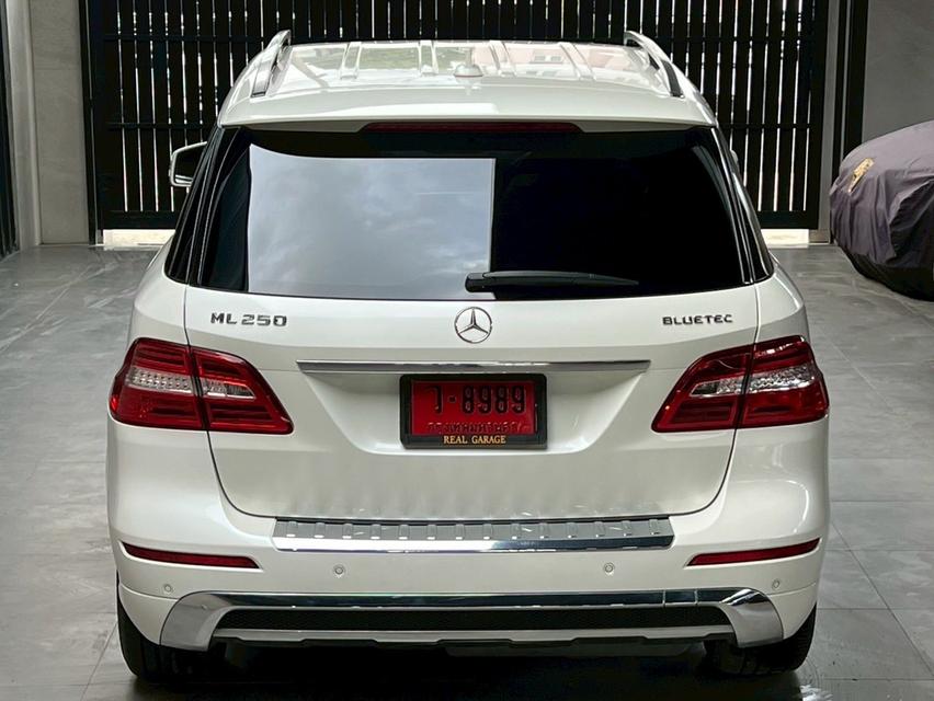 Mercedes-Benz ML250D AMG Sports CDI BlueEFFICIENCY 4WD SUV 12