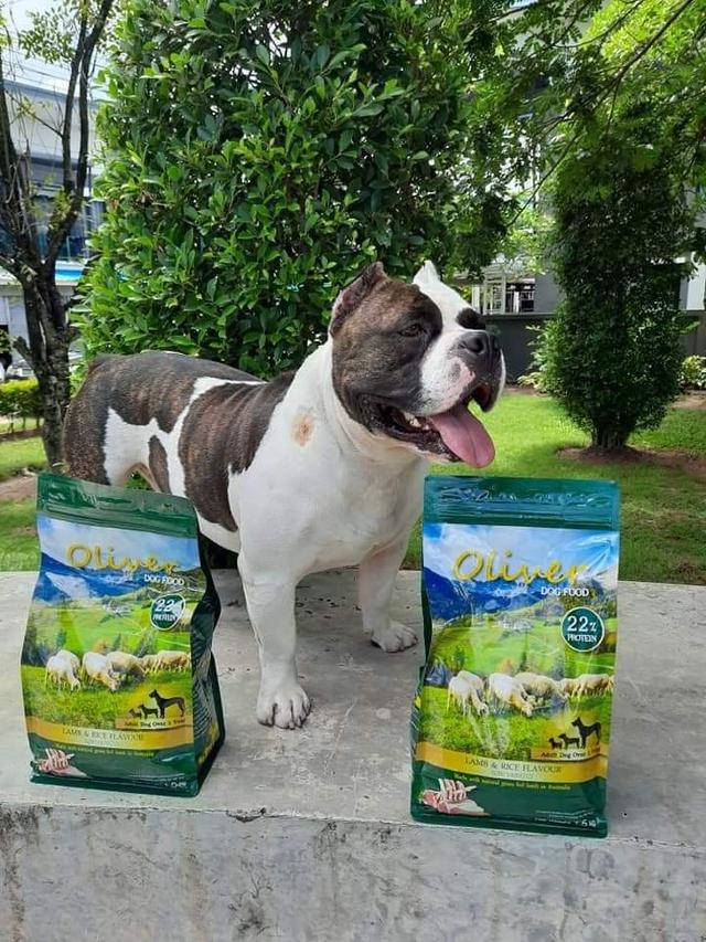 Oliver Dog Food 2