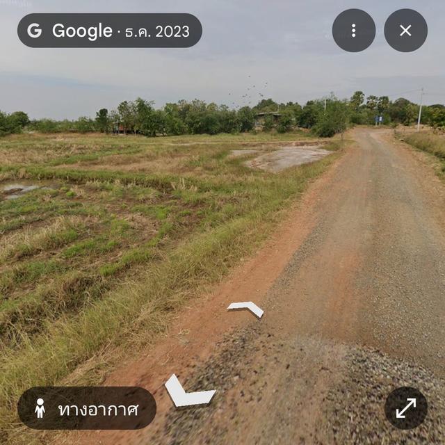 8ไร่43ตรว. เส้น290 นครราชสีมา อ.โนนสูง 2