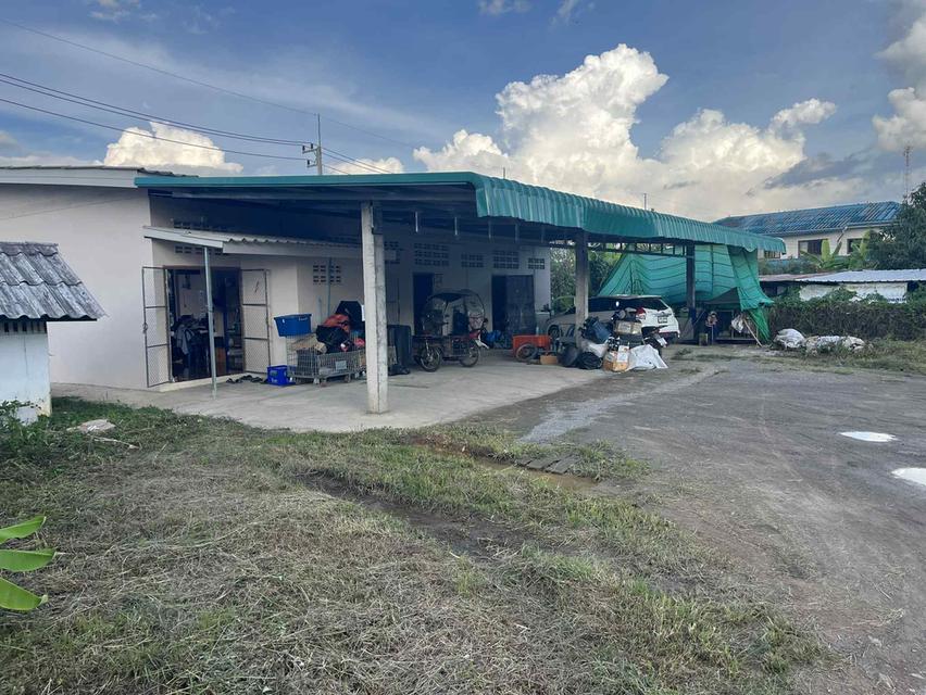 อสังหาริมทรัพย์ ที่ดิน ตึกพานิชย์ 7